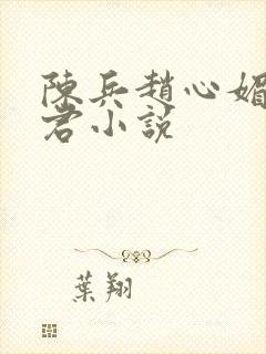 陈兵赵心媚高婉君小说