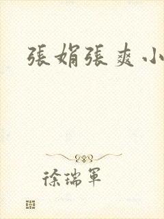 张娟张爽小说