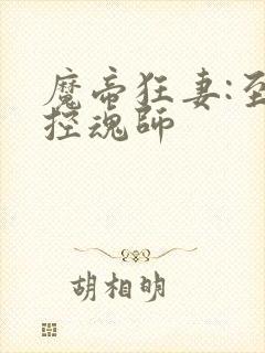 魔帝狂妻:至尊控魂师封面