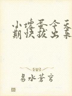 小坏蛋今天危险期快拔出来封面