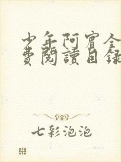 少年阿宾全文免费阅读目录封面