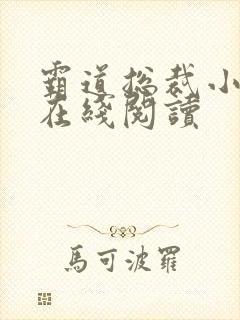 霸道总裁小娇妻在线阅读