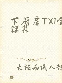 下厨房TXl金银花