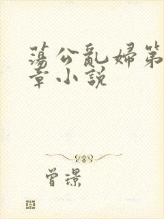 荡公乱妇第51章小说封面