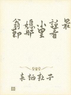 翁媳小说最新章节哪里看