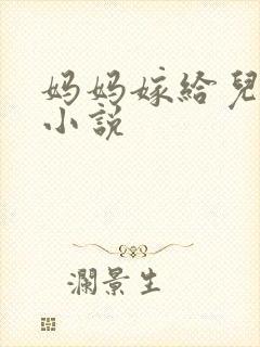 妈妈嫁给儿子的小说