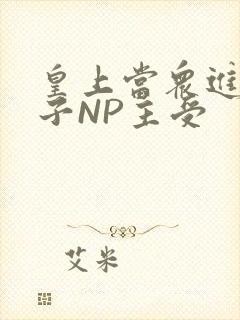 皇上当众进入太子NP主受