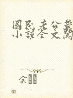 国民老公带回家小说全文阅读免费