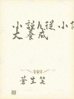 小说h从小做到大养成