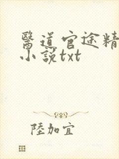 医道官途精校版小说txt