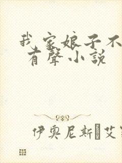我家娘子不对劲 有声小说