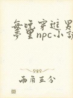 每晚穿进男神的梦里npc小说