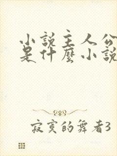 小说主人公陈枫是什么小说