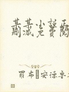某某小说正版无删减免费阅读全文封面
