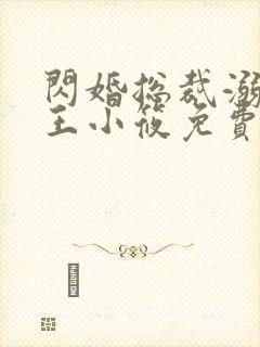 闪婚总裁溺宠妻王小筱免费阅读