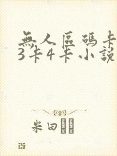 无人区码卡二卡3卡4卡小说