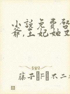 小说免费启禀王爷,王妃她又穷疯了