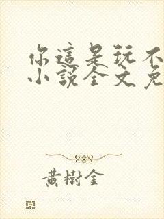你这是玩不起呀小说全文免费阅读封面