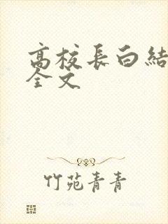 高校长白结小说全文