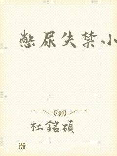 憋尿失禁小说