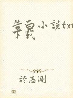 告白小说txt下载