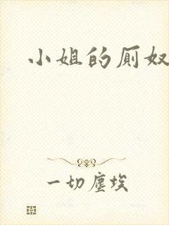 小姐的厕奴