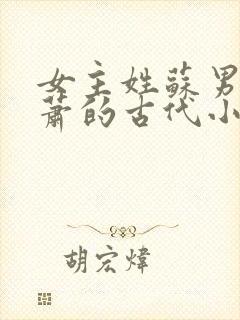 女主姓苏男主姓萧的古代小说封面