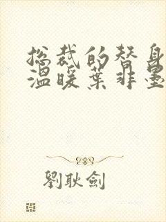 总裁的替身前妻温暖叶非墨封面