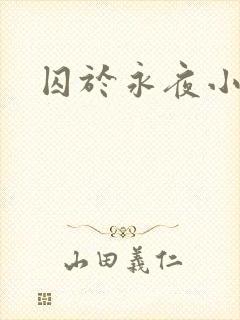 囚于永夜小说封面
