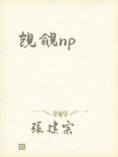 觊觎np