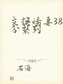 交换娇妻38部分系列