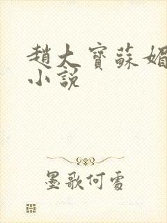 赵大宝苏媚免费小说