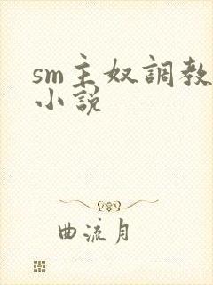 sm主奴调教文小说