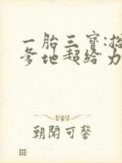 一胎三宝:总裁爹地超给力 小说封面