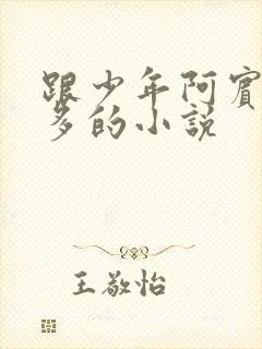 跟少年阿宾差不多的小说