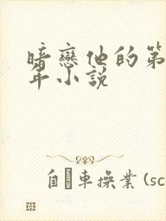 暗恋他的第十一年小说封面