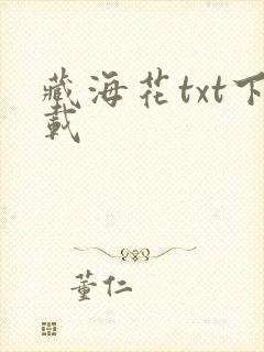 藏海花txt下载