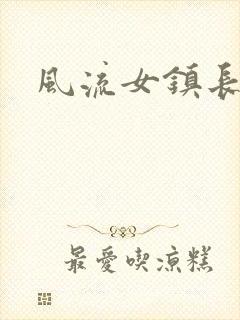 风流女镇长封面