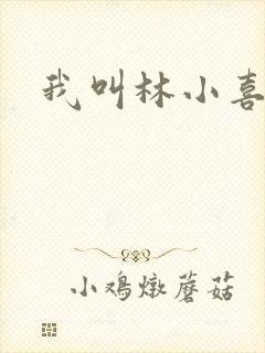我叫林小喜17