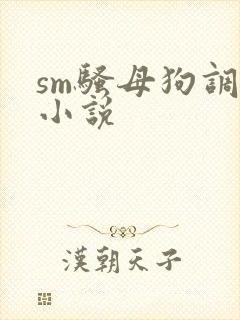 sm骚母狗调教小说