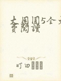 大团圆5全文免费阅读