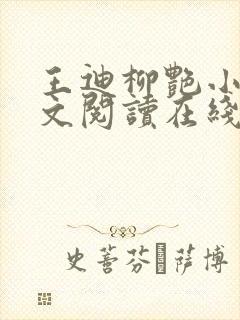 王迪柳艳小说全文阅读在线