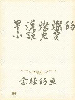 星汉灿烂的原著小说免费封面