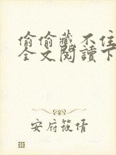 偷偷藏不住小说全文阅读下载