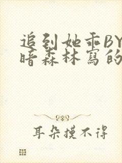 追到她乖BY黑暗森林写的小说
