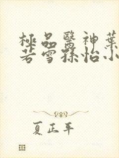 极品医神叶辰夏若雪孙怡小说