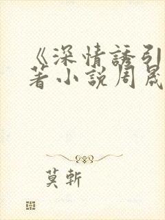 《深情诱引》原著小说周晟安结局