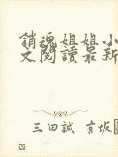 销魂姐姐小说全文阅读最新章节列表