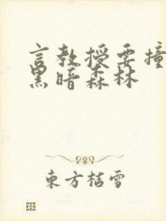 言教授要撞坏了黑暗森林