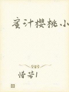 蜜汁樱桃小说